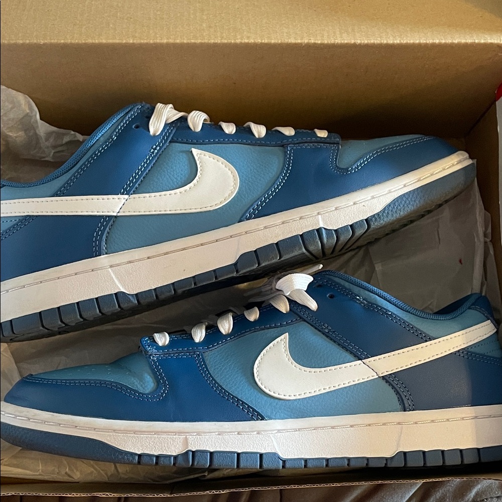 Nike dunk low